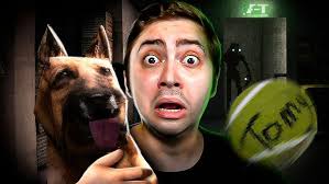 Alanzoka jogando Canine
